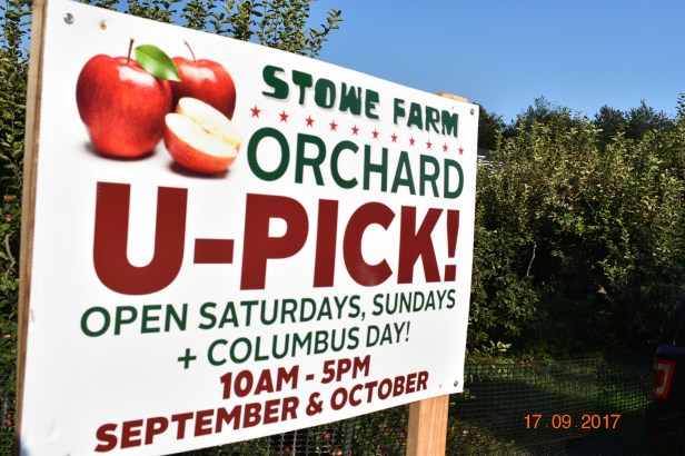 03FD2301-11D1-4F99-8AD1-0B346BB5CB04