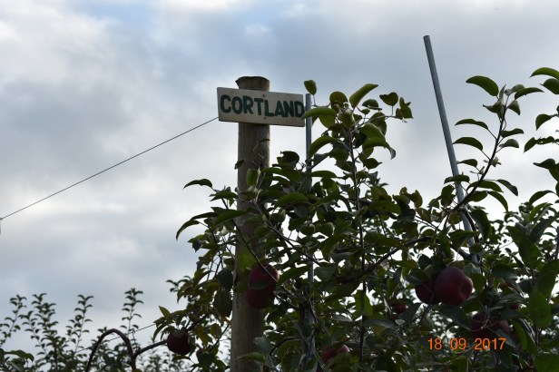 12DE6F80-D89B-4A50-BA59-CCB789E71944