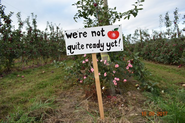 1C6F6FA6-ECA1-4DE7-A673-6ACA429BC2FE