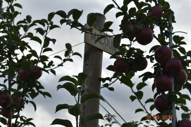 26D72D23-463C-4305-9552-687CA991BCA6