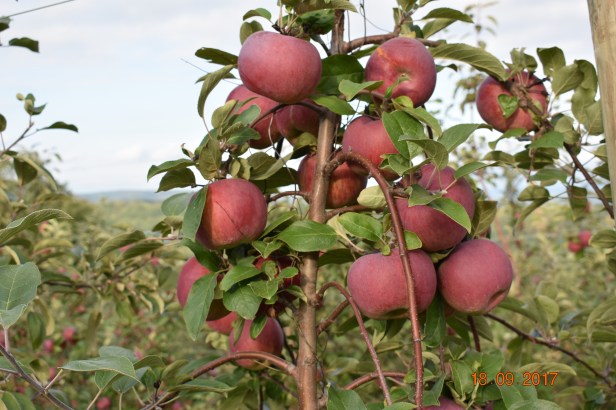 2AADEE86-7044-4CB3-A8F8-137D2CEA8C52