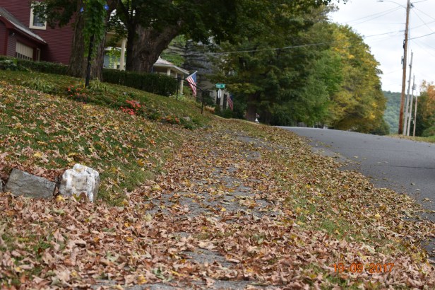 468D3FE2-8F2A-415E-9EB9-3A004E5C77C1