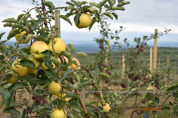 4D8D880B-E83A-42DC-9D37-EDBE7D88709F