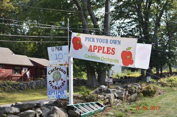 55B434F7-1A06-4F41-85AA-22659F92A741