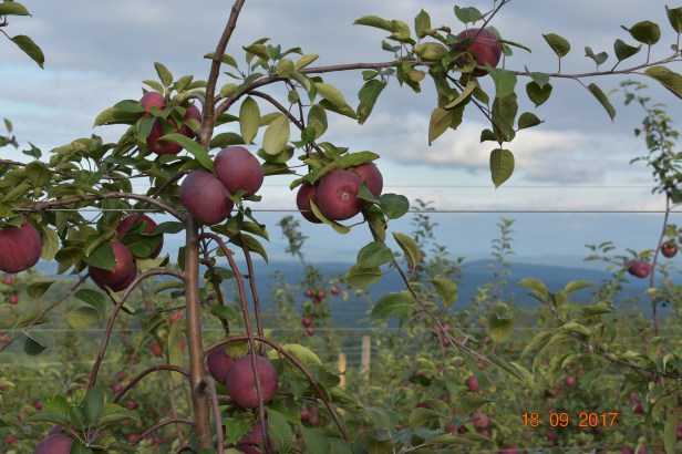 98458DCC-C19E-40E9-B5D8-2B5628947F63