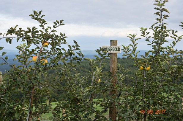 A591B931-B2D9-4DDF-AAC0-E8568C1F2D98