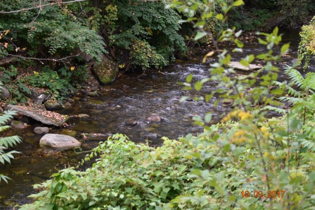 BC3A706B-D571-45FE-AA8B-27914CB29A3F