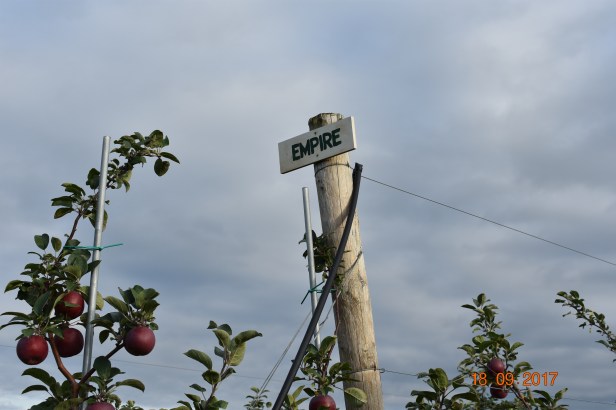 DAC96E22-2E3E-42E9-AE7E-328517985CED