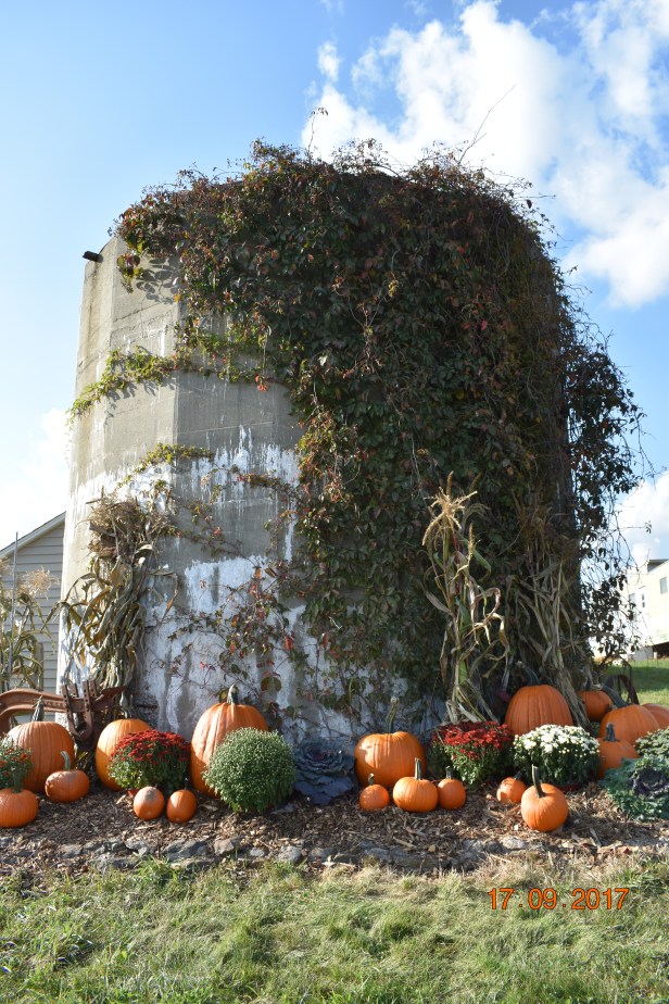 FF7E59B9-034E-4B06-9A37-DD6E670DDAF3