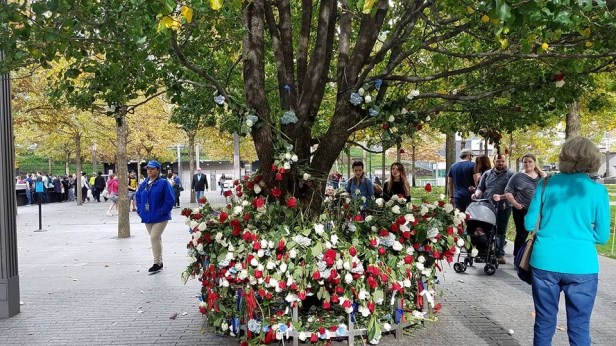 110D35BD-E5EE-4042-A658-F30A0E3334D7