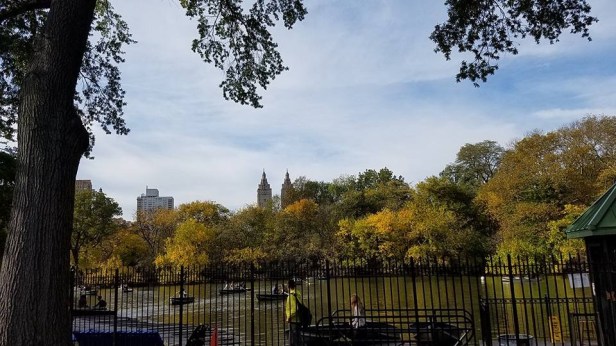 13E89E55-15E0-428A-B379-0E2C6639353B