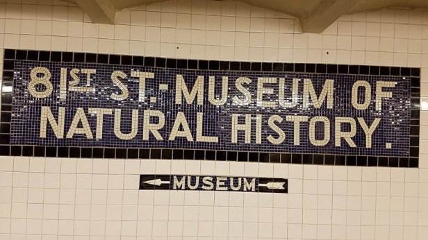 4001F814-22EA-40BB-BF5E-AAD6F6D9437F