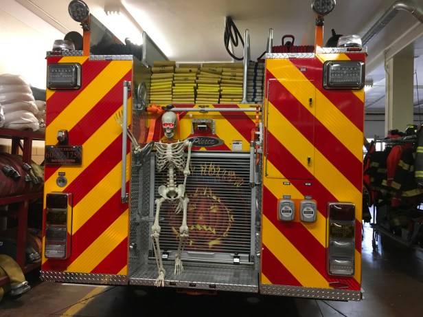 874DC398-811D-4A6A-AA45-41DF3A59E265