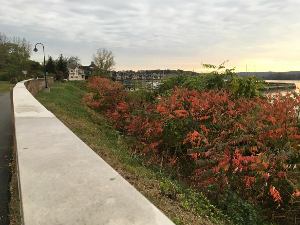 B3054A45-C282-46CD-B6A1-D04D9092A639