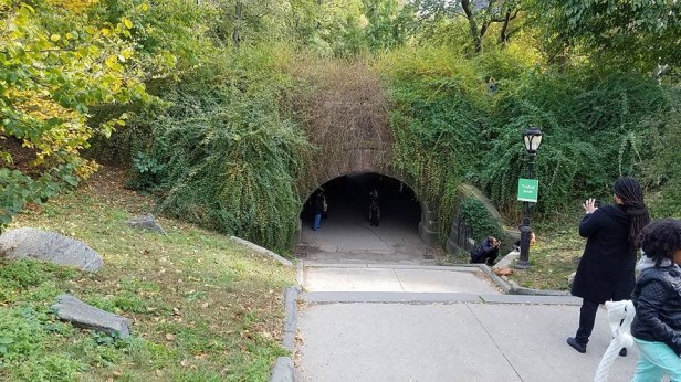 FF306424-7512-441D-8FCE-9CA5E49A2748