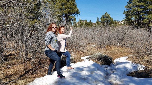 239C6D94-2709-413B-8756-868E8400255C