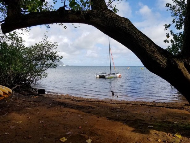 0EE7D111-C3E3-413E-9B3A-96676F305EE6