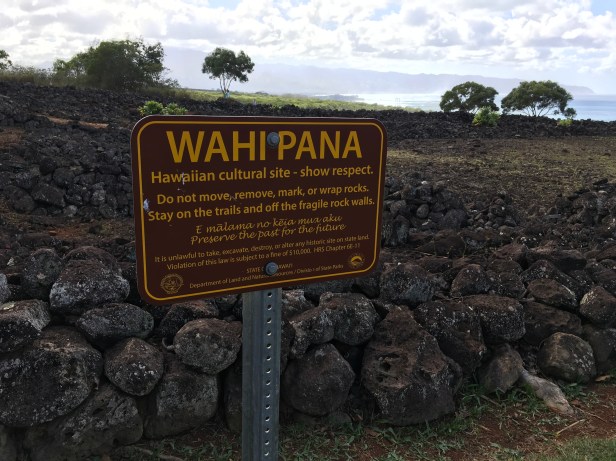 5FBA5419-A732-4295-B944-2E643AAA3142