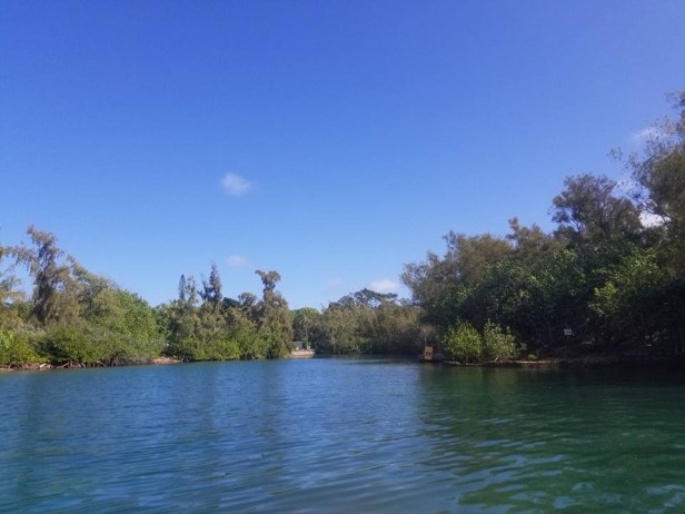 B7CC45F3-FB1C-44AE-BEF9-56628E39D82B