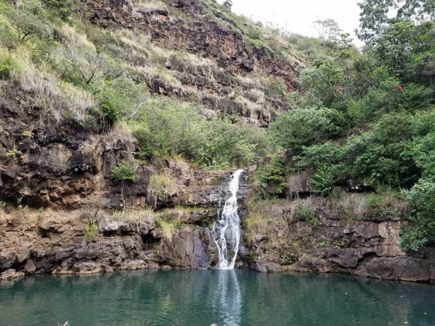 C844B238-287F-4D0B-BDEF-FBAE039EB43D