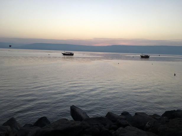 0C36BC4F-F7DB-495A-9D59-65C6AD03FC1F