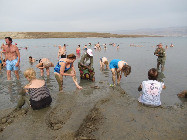 2E070671-E12E-4F92-BED1-5D41757515D1