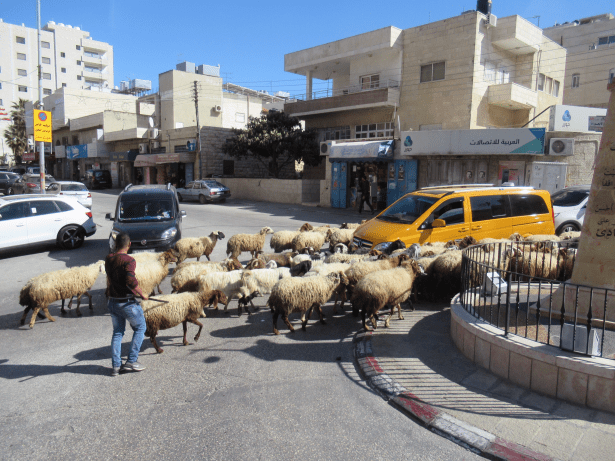 6CBBA4D4-A9EE-48A3-8EFB-D4E1A99E28F8