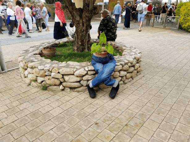 9F5512CA-67DD-4E6B-845B-BD5BD9234BEB