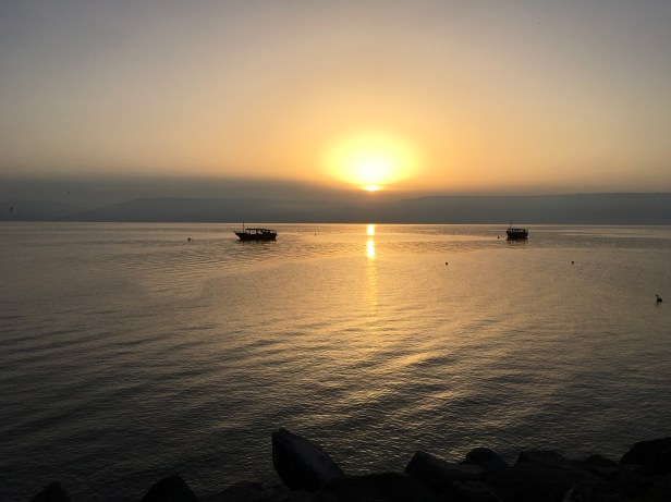 AED4FE2A-E5F3-4574-A1D9-1621FF67F6B5