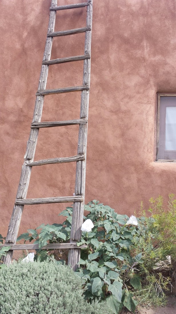 BBC679C4-6E71-4E3D-B08C-82281A9FA931