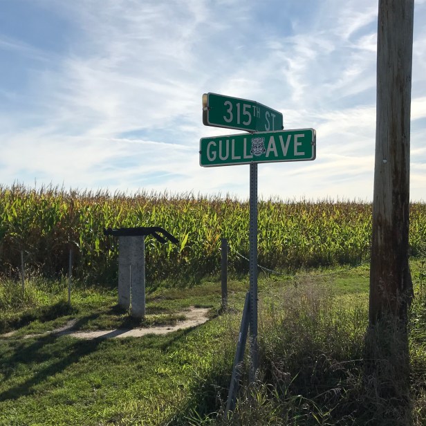 735CC164-C30F-41C2-B1C7-E40927241322