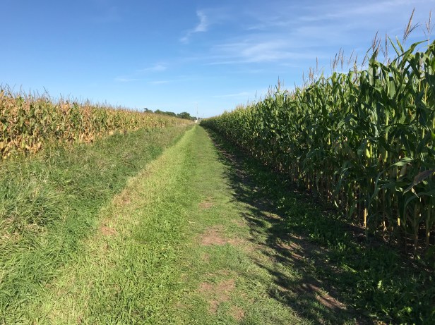 9AB32852-6DB8-4652-B321-A8ED559BDA9C