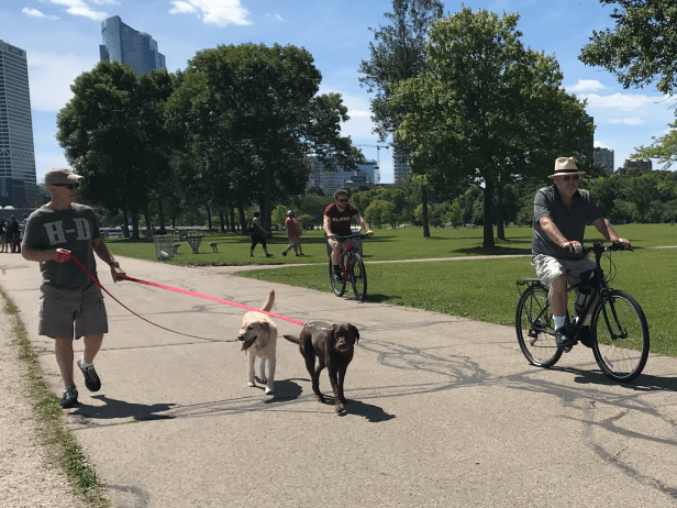 CABED289-1343-4676-9B21-9A55B79641BD